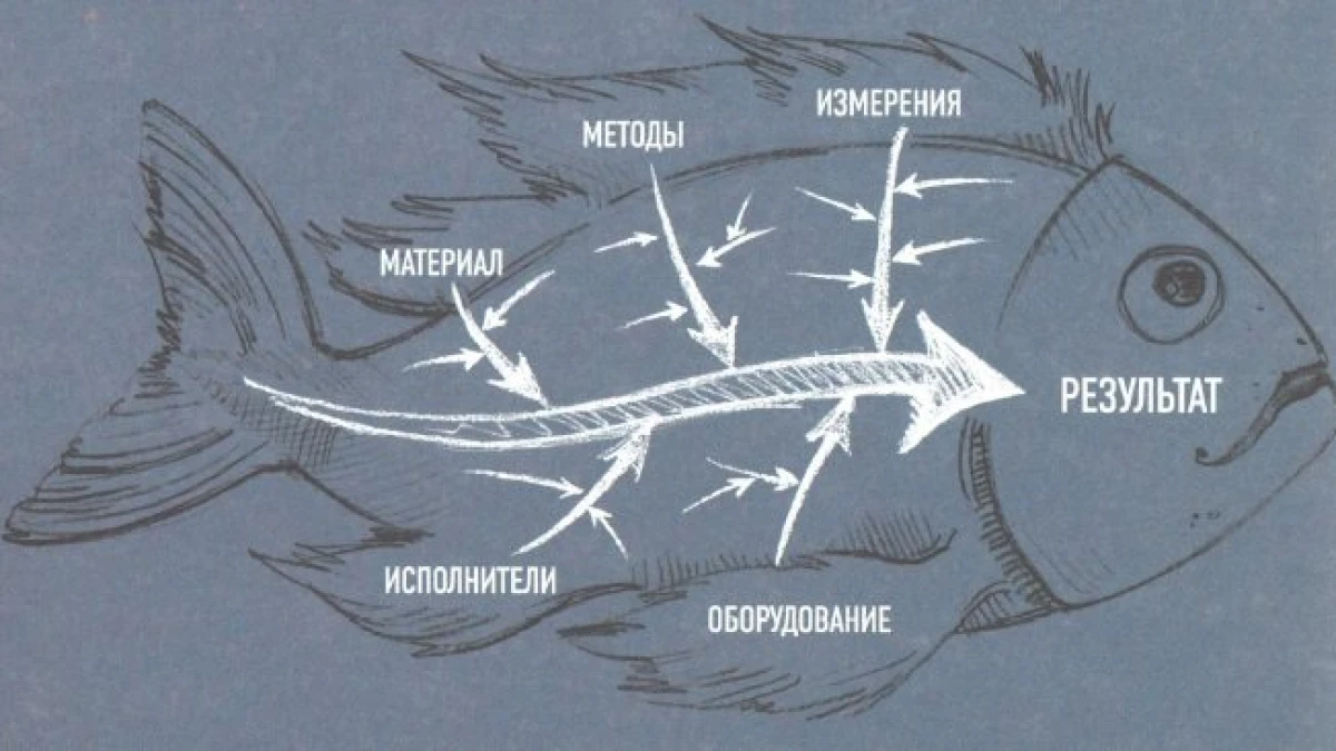 A cause-and-effect diagram over a fish drawing with labelled branches