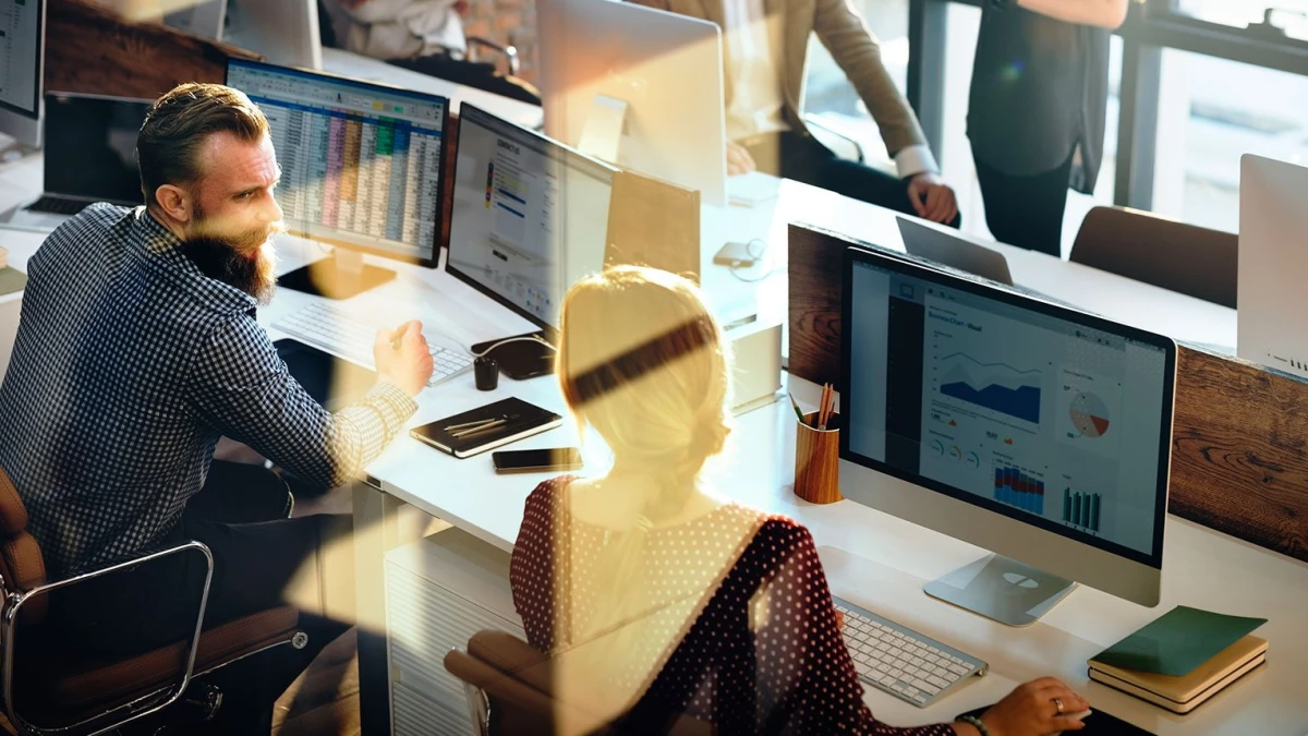 Colleagues at computers displaying tables and charts in a sunlit office