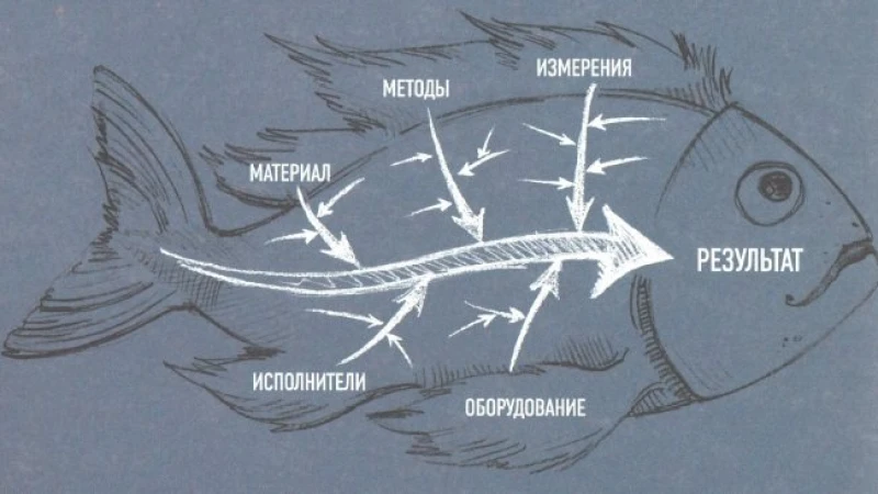 A cause-and-effect diagram over a fish drawing with labelled branches