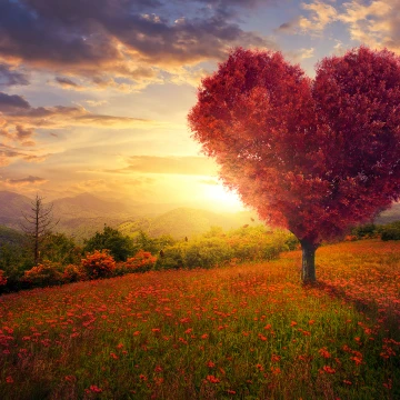 Разгадай тайну счастья с этими 5 вопросами, которые изменят твою жизнь навсегда!