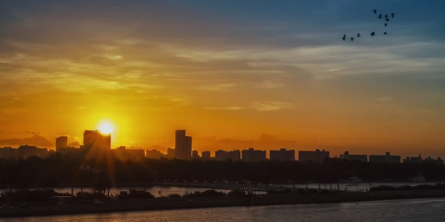 Следуй своему сердцу: как принимать важные решения в жизни