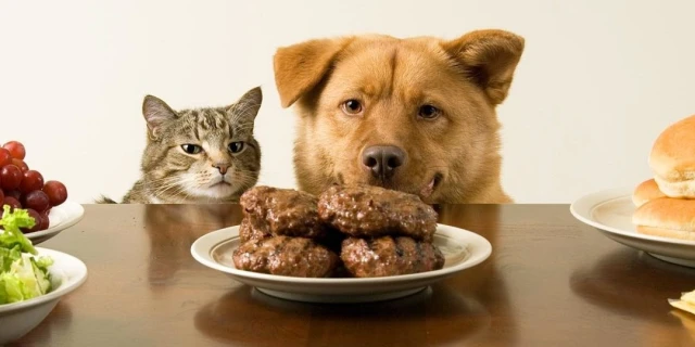 О силе воли и ее значимости в жизни
