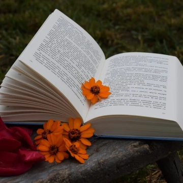 5 книг для тех, кто хочет быть успешным