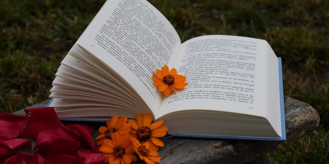 5 книг для тех, кто хочет быть успешным