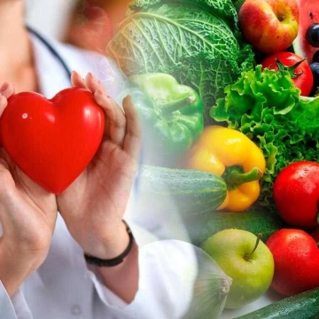 Влияние питания на нашу жизнь и способность действовать
