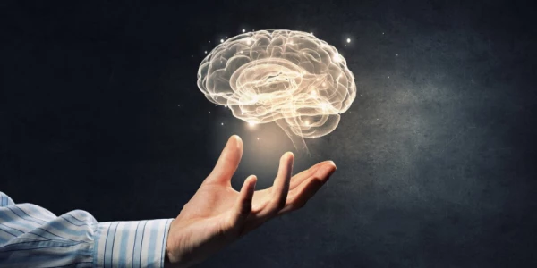 Психология принятия решений: как работает наш мозг